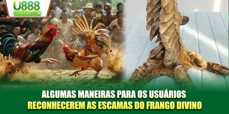 Algumas maneiras para os usuários reconhecerem as escamas do frango divino