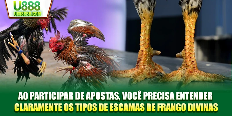 Ao participar de apostas, você precisa entender claramente os tipos de escamas de frango divinas.