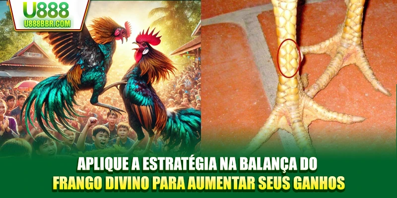 Aplique a estratégia na balança do frango divino para aumentar seus ganhos