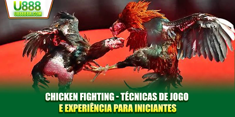 Chicken Fighting - Técnicas de jogo e experiência para iniciantes