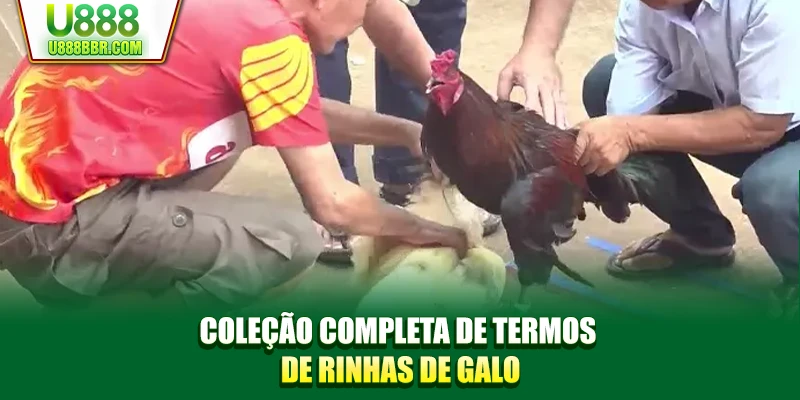 Coleção completa de termos de rinhas de galo