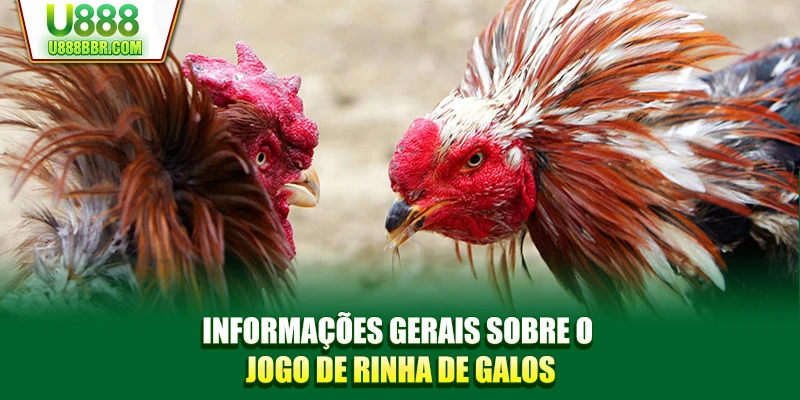 Informações gerais sobre o jogo de rinha de galos