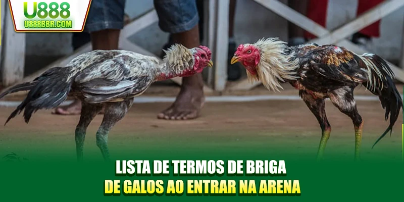 Lista de termos de briga de galos ao entrar na arena