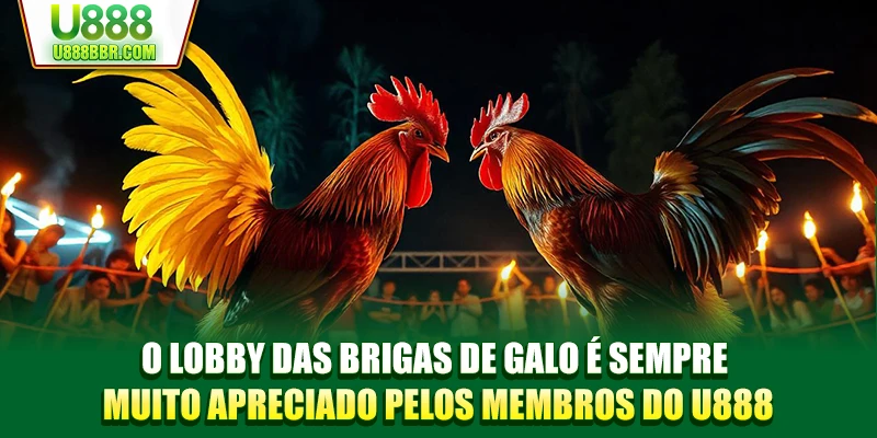 O lobby das brigas de galo é sempre muito apreciado pelos membros do U888