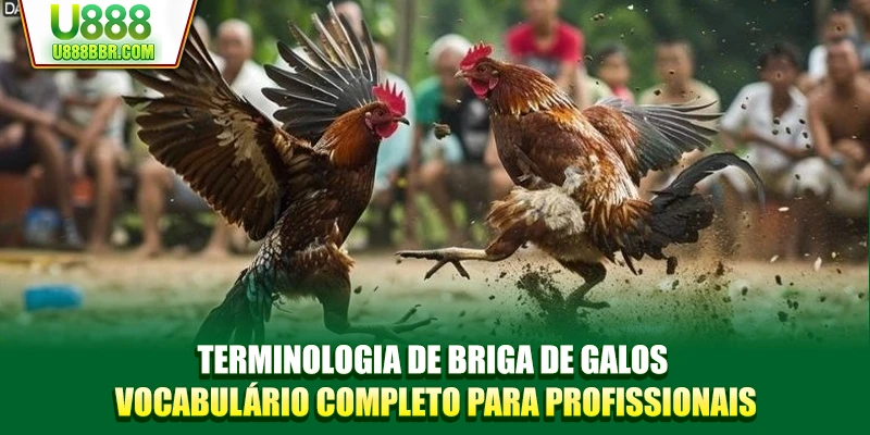 Terminologia De Briga De Galos - Vocabulário Completo Para Profissionais