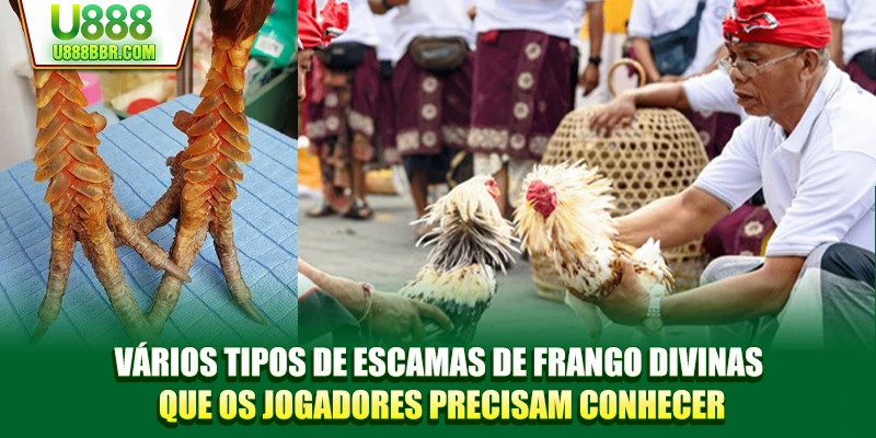 Vários tipos de escamas de frango divinas que os jogadores precisam conhecer