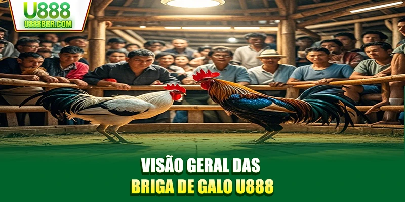 Visão geral das Briga de galo U888