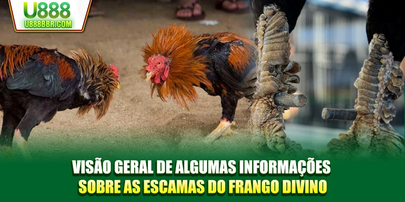 Visão geral de algumas informações sobre as escamas do frango divino